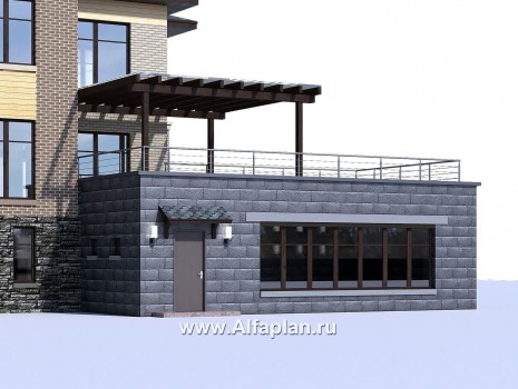 Проекты домов Альфаплан - Проект бассейна (пристройка к коттеджу) с террасой на крыше - превью дополнительного изображения №1